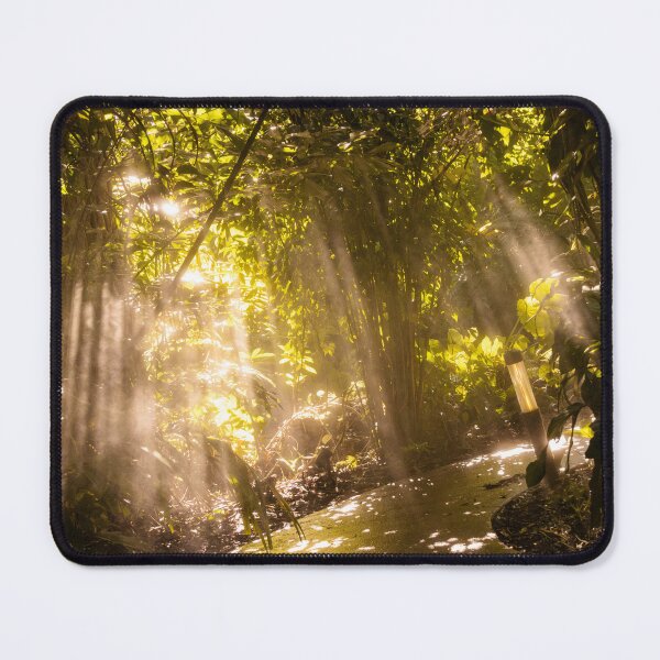Item preview, Tropical Rainforest Sunlight Streaks designed and sold by Arthur Mansavage.