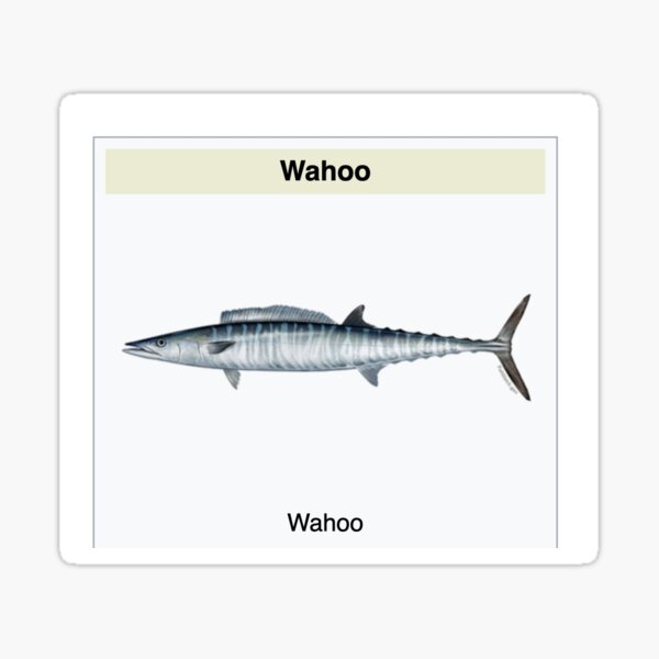 Vista previa del artículo con la obra «Wahoo», diseñado y vendido por asparrgo.