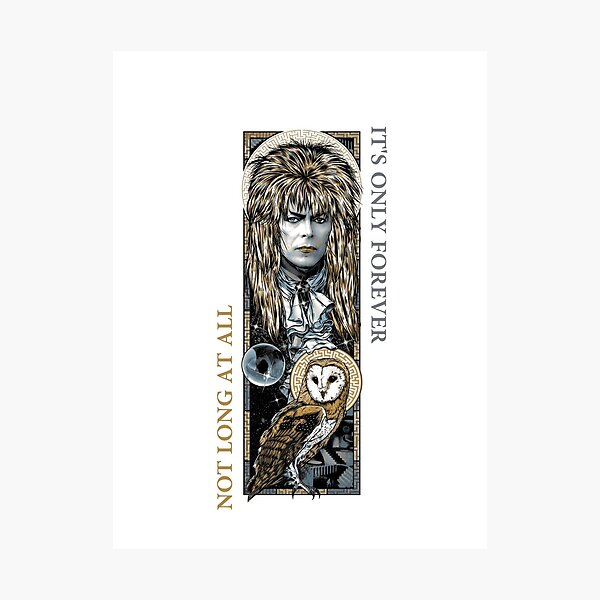 Labyrinth Collage Photographic Print