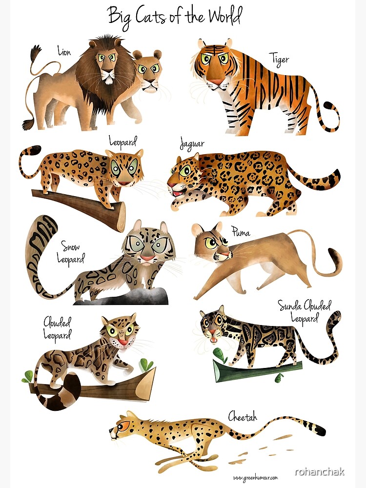 Tigers of the World Poster Print 