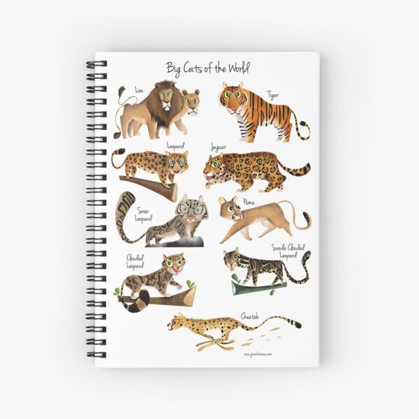 24 Pieces Wild Animals Mini Notepads Small Spiral Pocket Notebooks Jungle  Animals Leopard Cheetah Th…See more 24 Pieces Wild Animals Mini Notepads