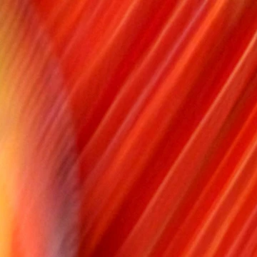 Artwork thumbnail, "Crimson Rays" by Robert Regenold's Art Shop