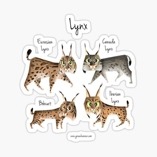 Item preview, Lynx designed and sold by Green Humour.