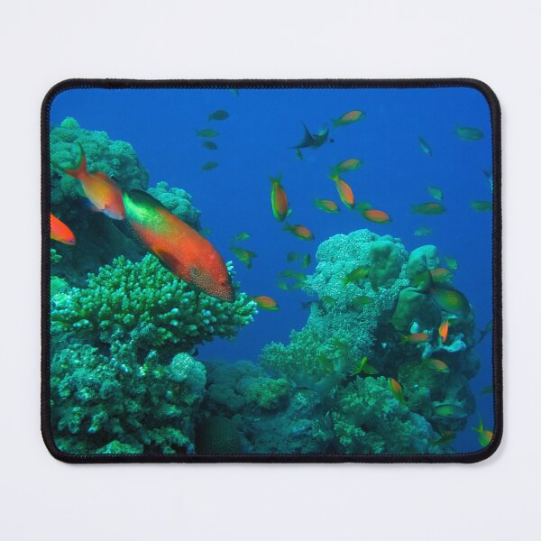 Item preview, Red Sea Ocean Life designed and sold by likbatonboot.