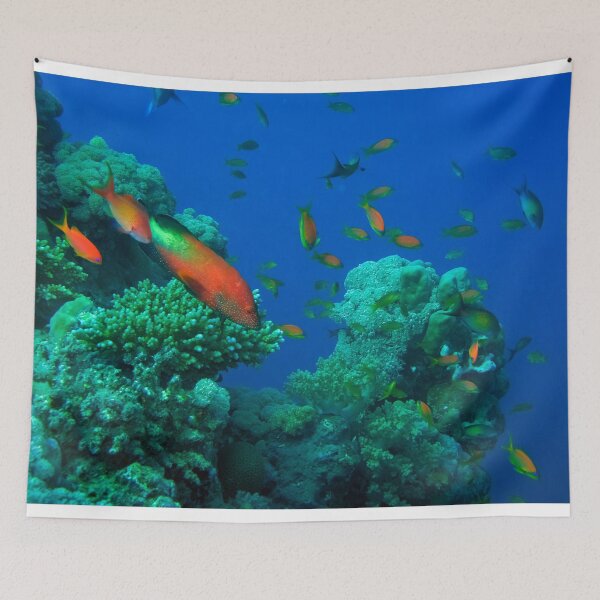 Item preview, Red Sea Ocean Life designed and sold by likbatonboot.