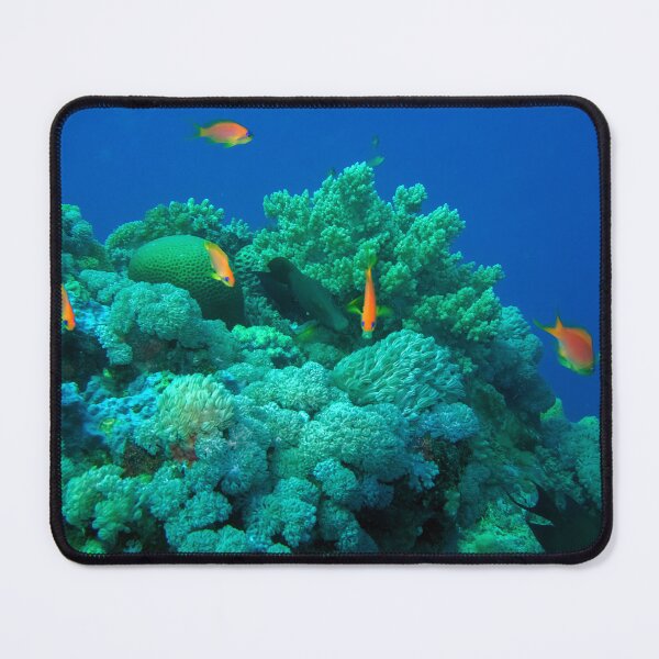 Item preview, Red Sea Ocean Life designed and sold by likbatonboot.
