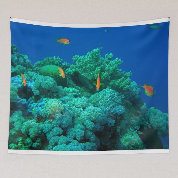 Item preview, Red Sea Ocean Life designed and sold by likbatonboot.