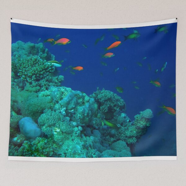 Item preview, Sea Life Red Sea designed and sold by likbatonboot.