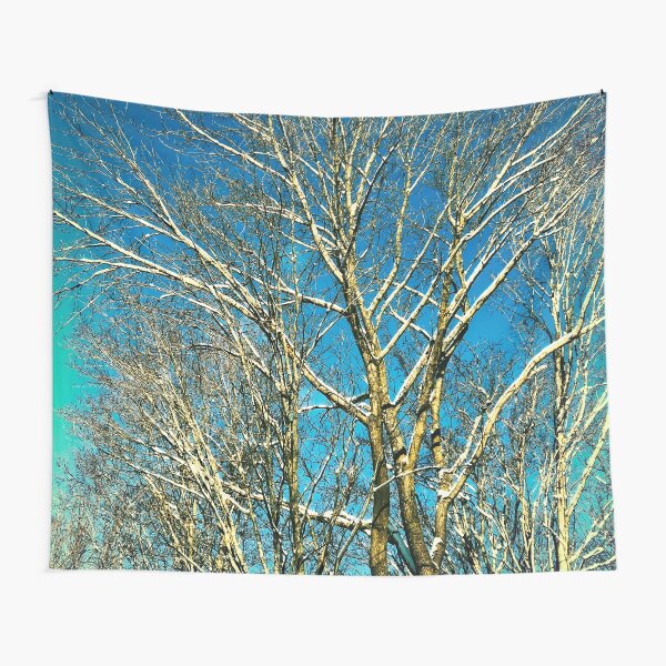 Tapestry