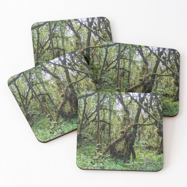 Item preview, Jungle tropical vines scenery designed and sold by CrossingTheG.