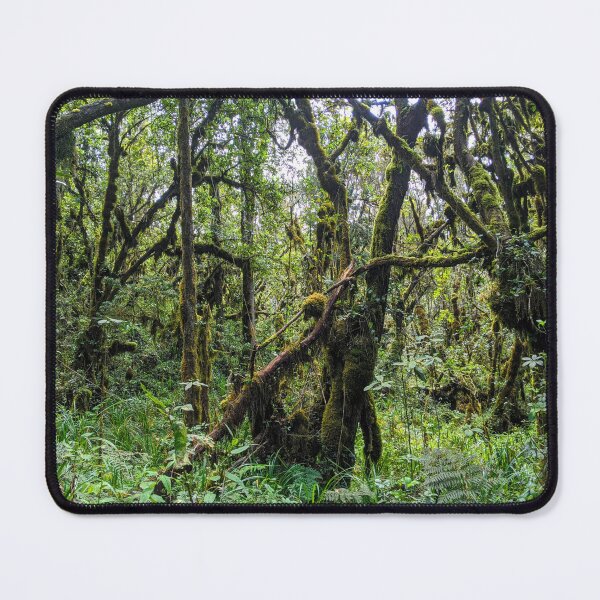 Item preview, Jungle tropical vines scenery designed and sold by CrossingTheG.