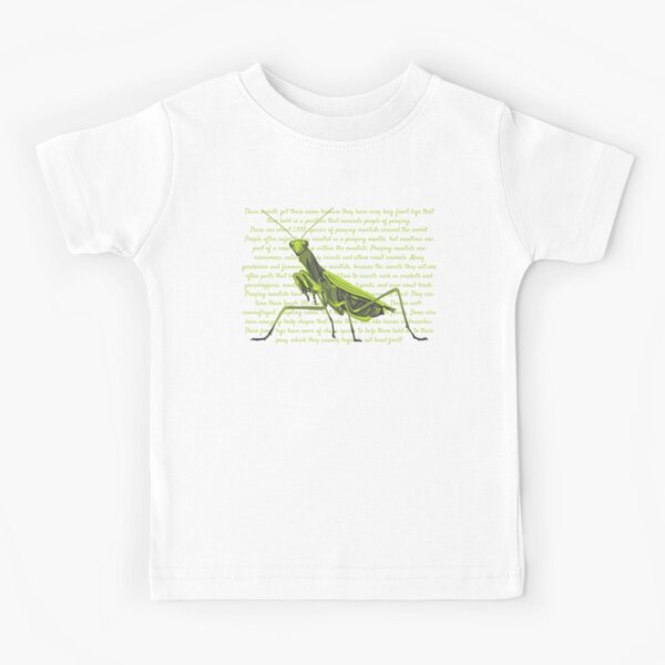 I Like Mantes And Maybe 3 People T-Shirt Mantis Insect Tee Men