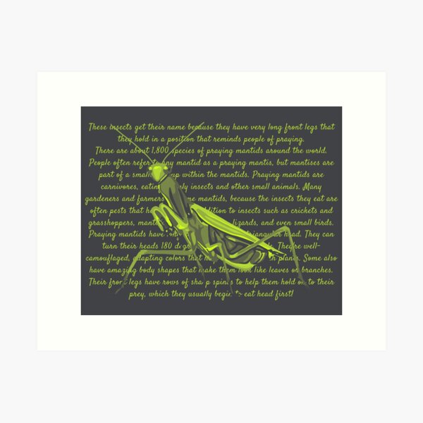 Item preview, Praying Mantis Info designed and sold by Unhinged Heather.