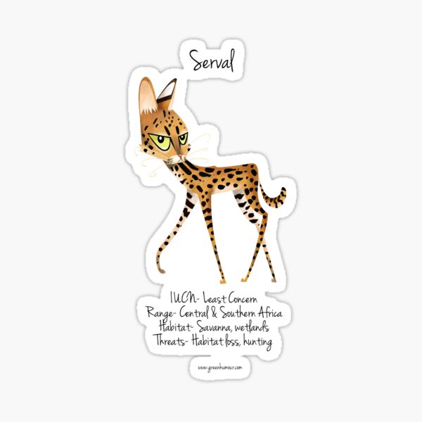 Serval Sticker