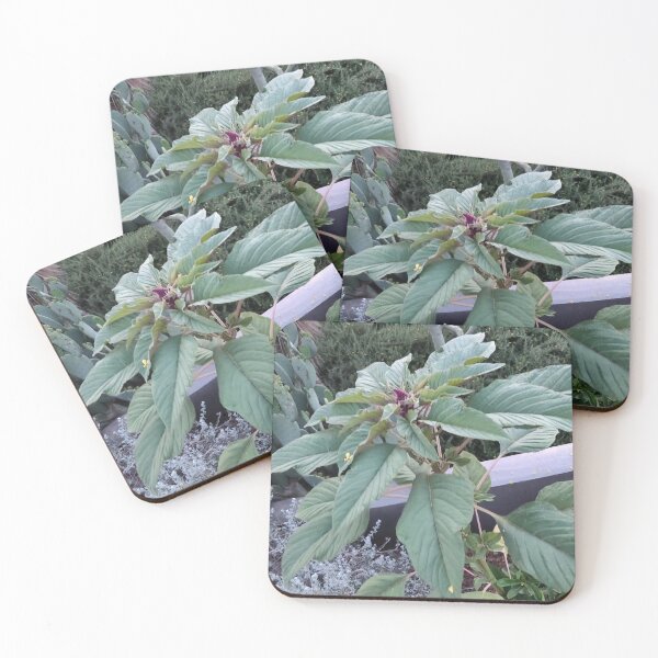Item preview, Oooo pretty designed and sold by TheGiantSpaz.