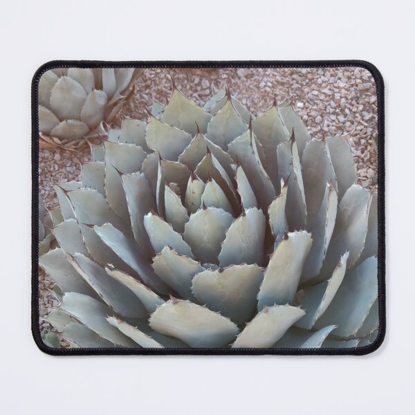 Item preview, Succulent garden designed and sold by TheGiantSpaz.