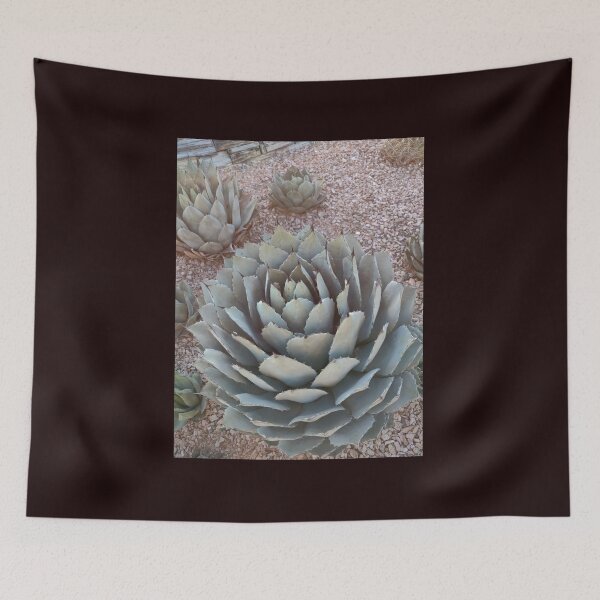 Item preview, Succulent garden  designed and sold by TheGiantSpaz.
