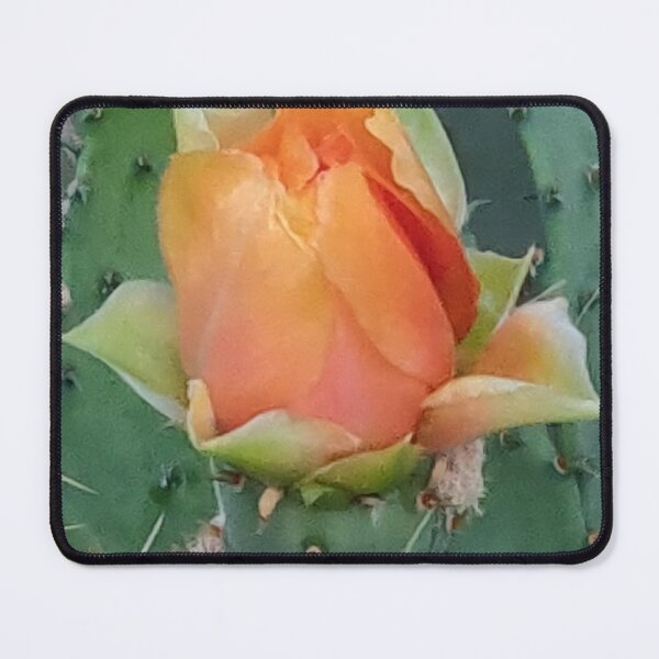 Item preview, Single prickly pear blossom designed and sold by TheGiantSpaz.