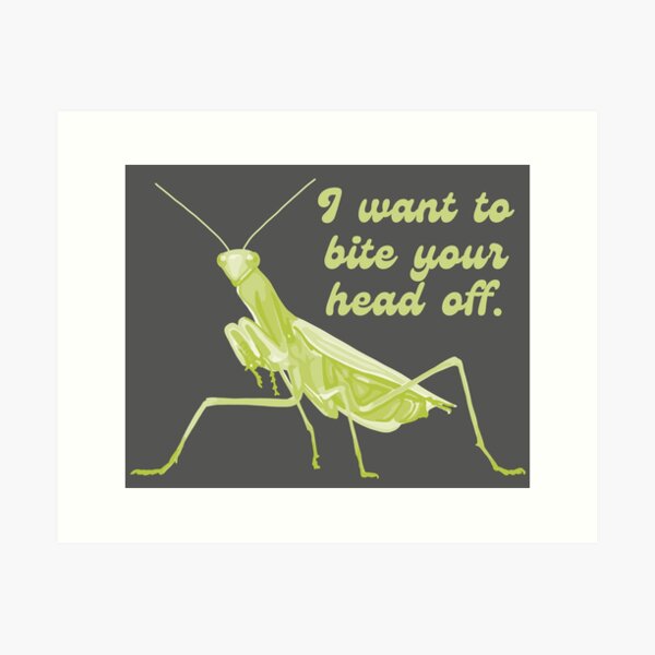Item preview, Praying Mantis Wants To Bite Your Head Off designed and sold by Unhinged Heather.