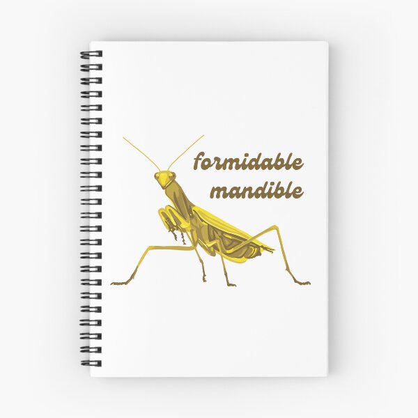 Item preview, Praying Mantis Has A Formidable Mandible designed and sold by Unhinged Heather.