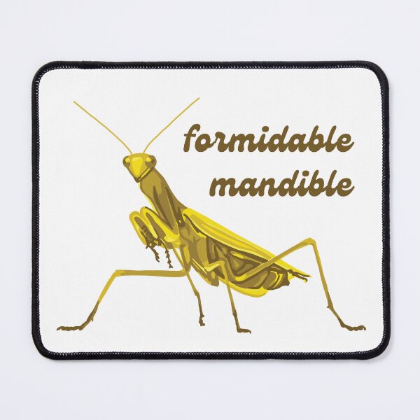 Item preview, Praying Mantis Has A Formidable Mandible designed and sold by Unhinged Heather.