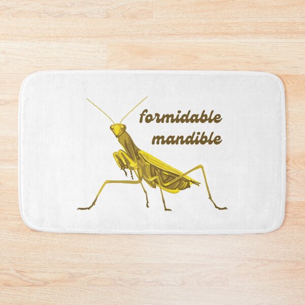 Item preview, Praying Mantis Has A Formidable Mandible designed and sold by Unhinged Heather.