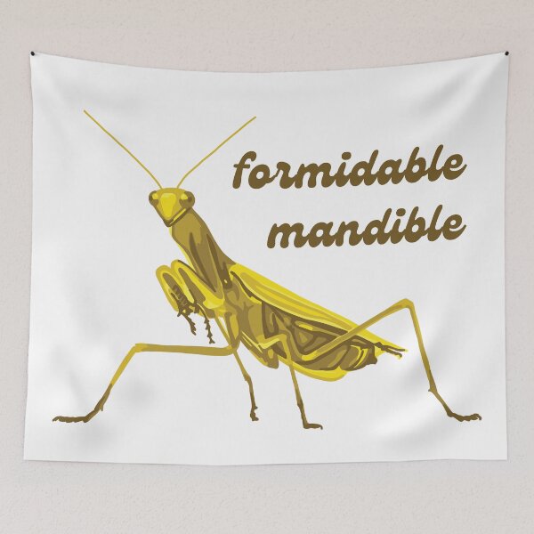 Item preview, Praying Mantis Has A Formidable Mandible designed and sold by Unhinged Heather.