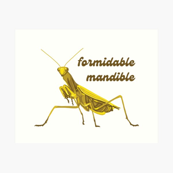 Item preview, Praying Mantis Has A Formidable Mandible designed and sold by Unhinged Heather.