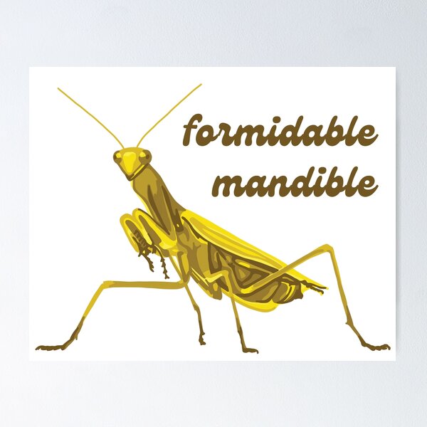 Item preview, Praying Mantis Has A Formidable Mandible designed and sold by Unhinged Heather.