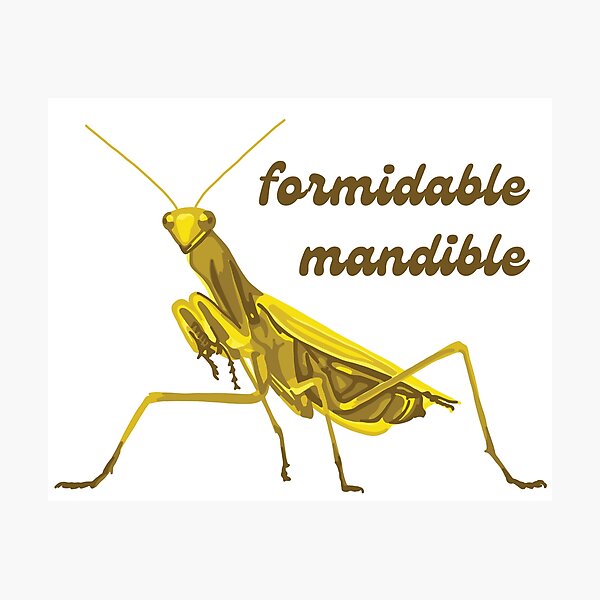 Item preview, Praying Mantis Has A Formidable Mandible designed and sold by Unhinged Heather.