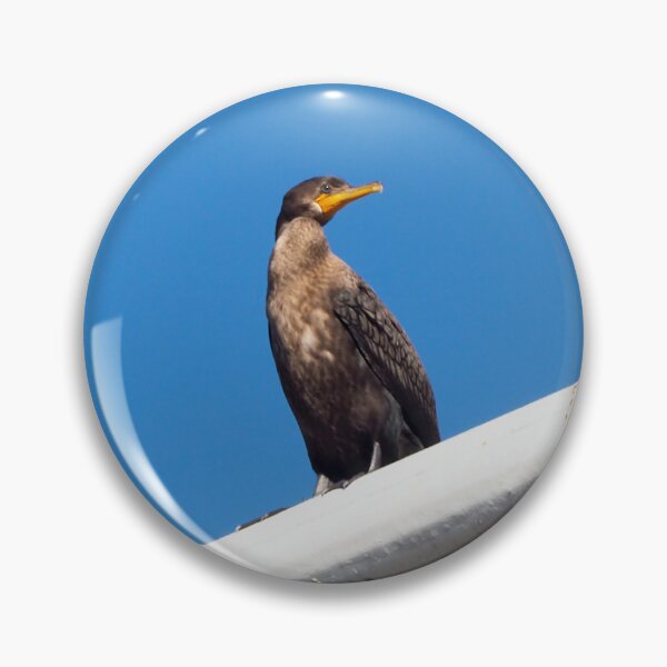 Item preview, Double-crested Cormorant Perching On a Light Pole designed and sold by BackyardBirder.