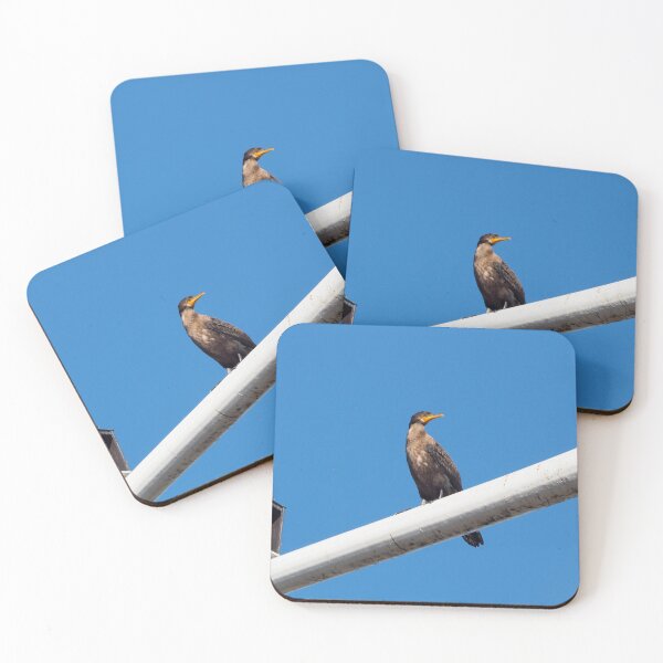 Item preview, Double-crested Cormorant Perching On a Light Pole designed and sold by BackyardBirder.