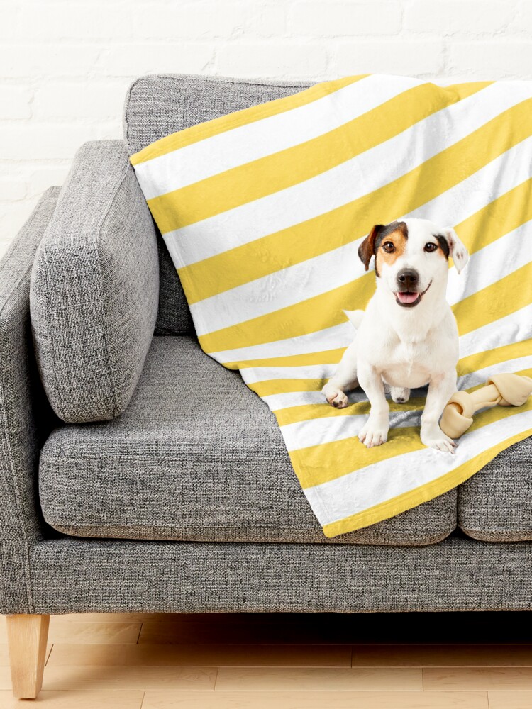 Yellow cheap dog blanket