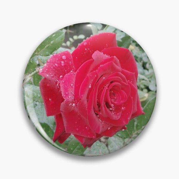 Item preview, Beautiful red rose after the rain  designed and sold by helenkaiy.