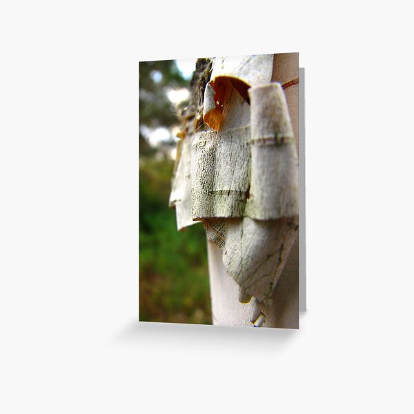 Striptease ! #2 Greeting Card