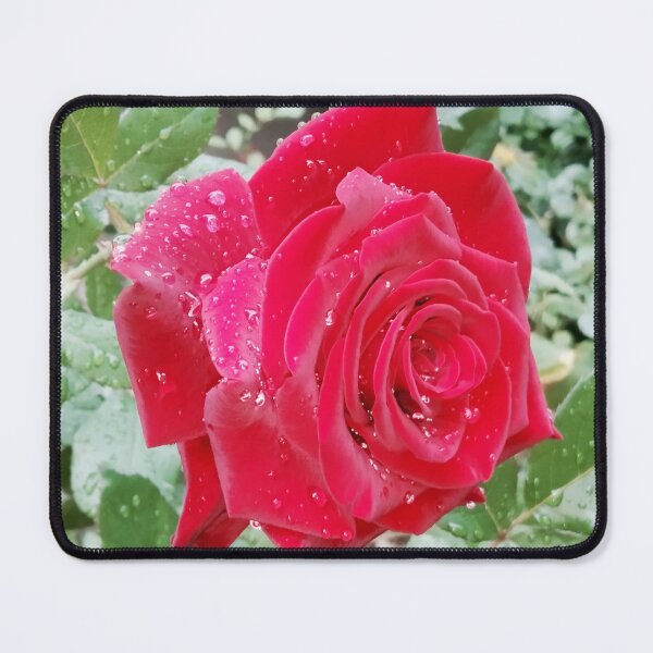 Item preview, Beautiful red rose after the rain  designed and sold by helenkaiy.