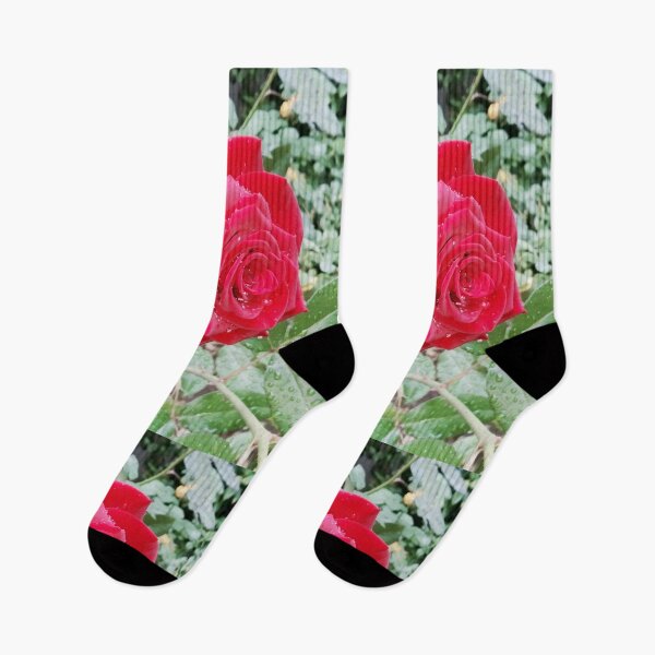 Item preview, Beautiful red rose after the rain  designed and sold by helenkaiy.