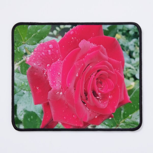 Item preview, Beautiful red rose after the rain designed and sold by helenkaiy.