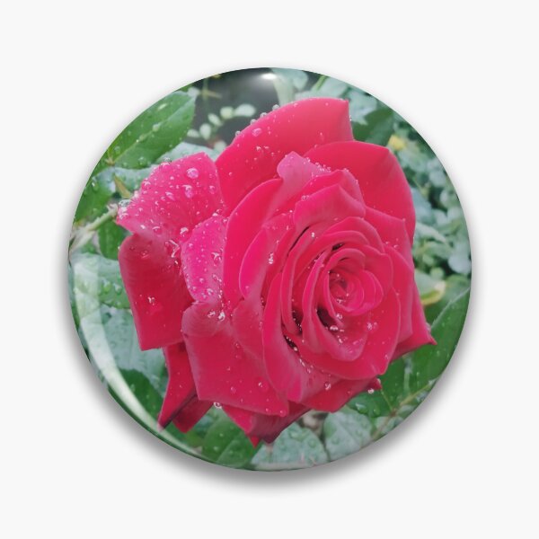 Item preview, Beautiful red rose after the rain  designed and sold by helenkaiy.