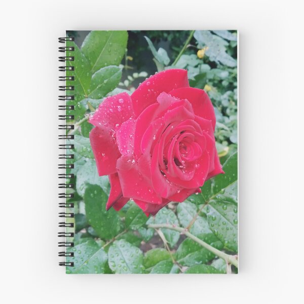 Item preview, Beautiful red rose after the rain  designed and sold by helenkaiy.
