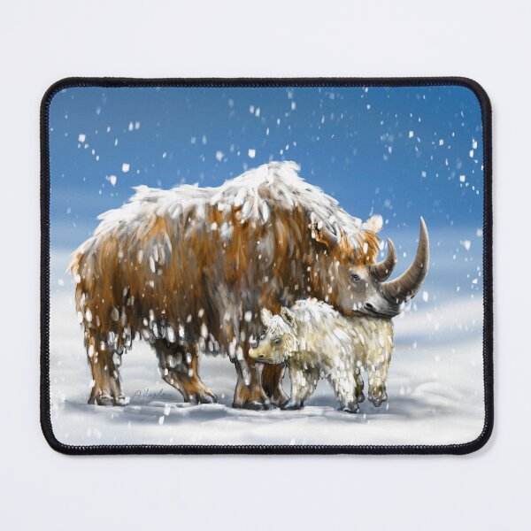Item preview, The woolly rhinoceros Coelodonta antiquitatis, Pleistocene designed and sold by Naturascopia.