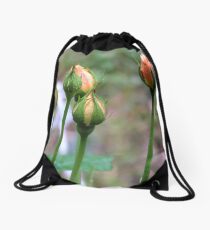 Toolangi Rose buds Drawstring Bag