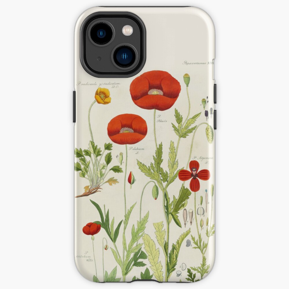 Botanical illustration: Poppy by David Dietrich – State Library Victoria iPhone Case
