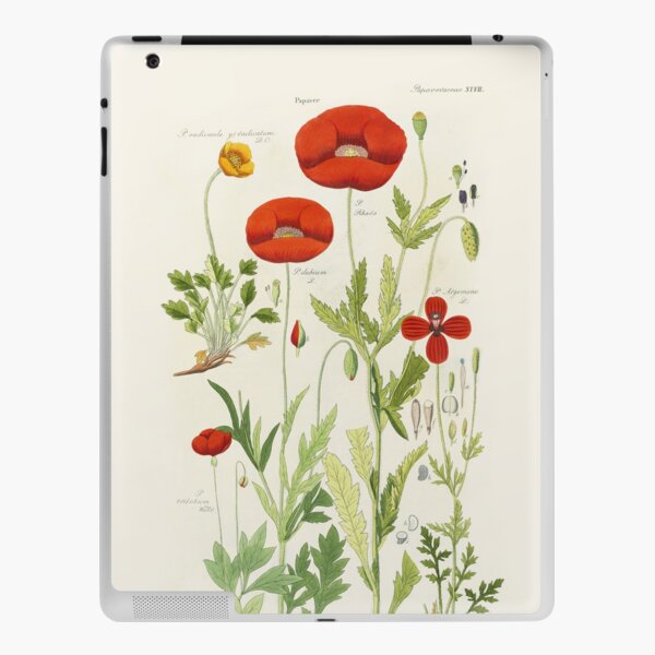 Botanical illustration: Poppy by David Dietrich – State Library Victoria iPad Skin