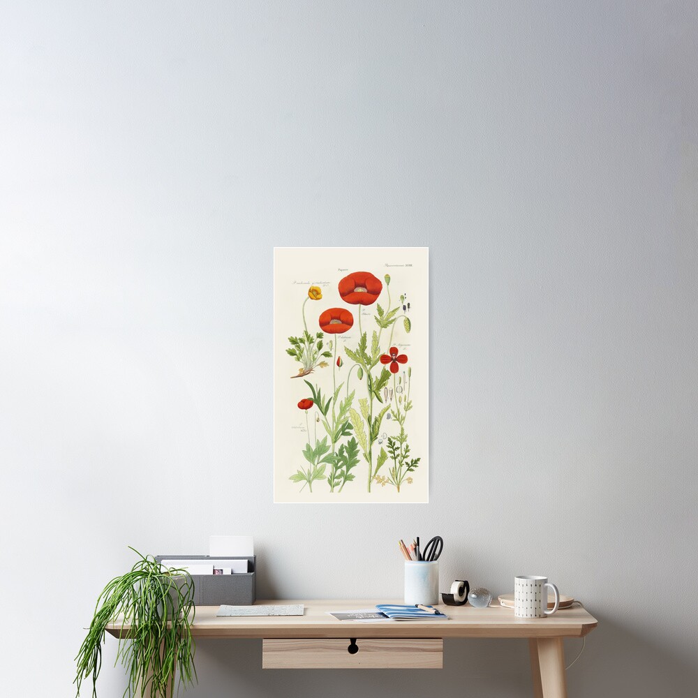 Item preview, Poster designed and sold by StateLibraryVic.