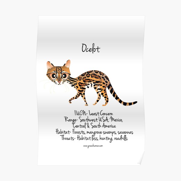 Posters Sur Le Theme Ocelot Redbubble