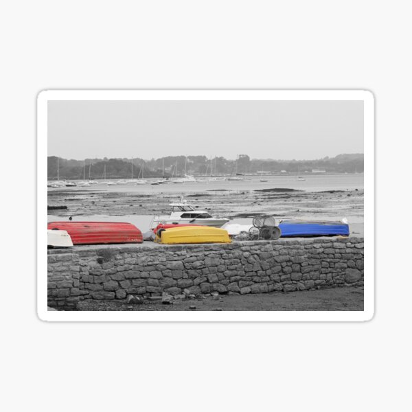 Splash of Colour Sticker