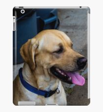 Oscar iPad Case/Skin