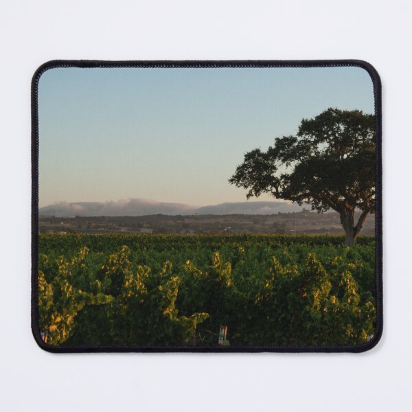 Item preview, Vineyards of California designed and sold by David McCombs.
