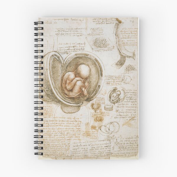 Item preview, Da Vinci fetus designed and sold by MozzarellaTees.